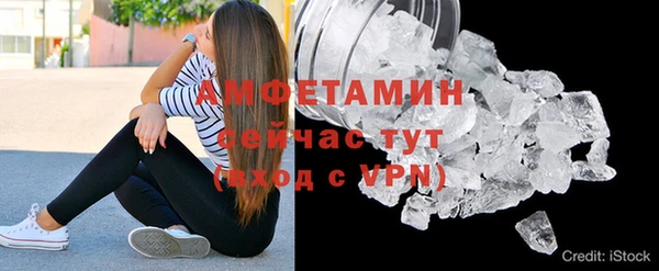 шишки Дмитровск