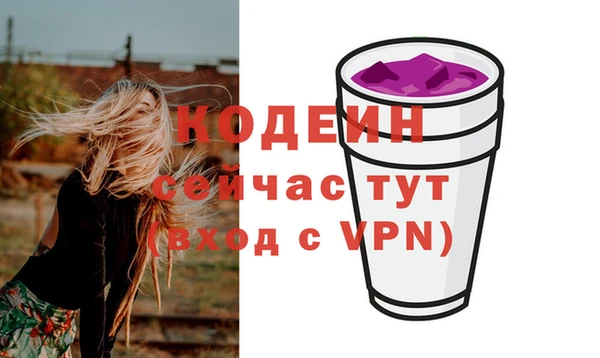 шишки Дмитровск