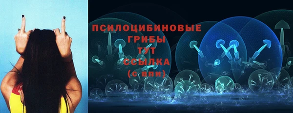 шишки Дмитровск