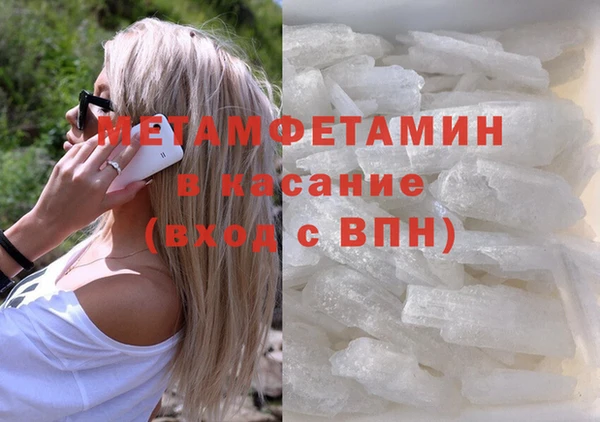 шишки Дмитровск