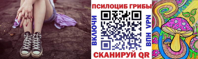 Купить  Новосиль  Галлюциногенные грибы GOLDEN TEACHER 